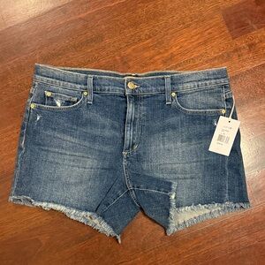 Joe's Jeans Classic Blue Jean Shorts